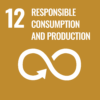 SDG-Sustainability-E-WEB-Goal-12